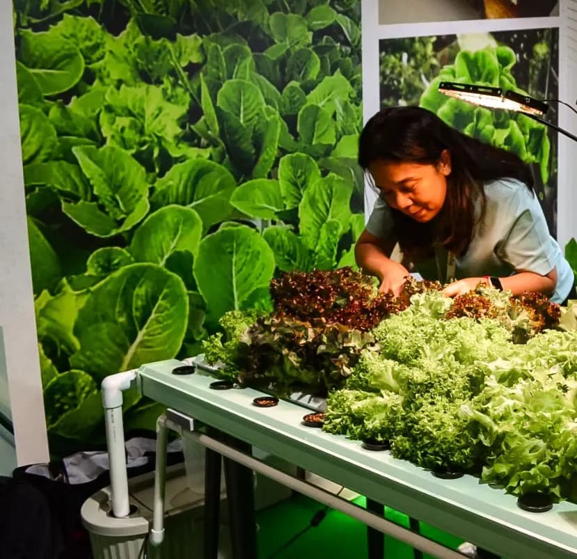 AGRA ME/Agrofarm Middle East