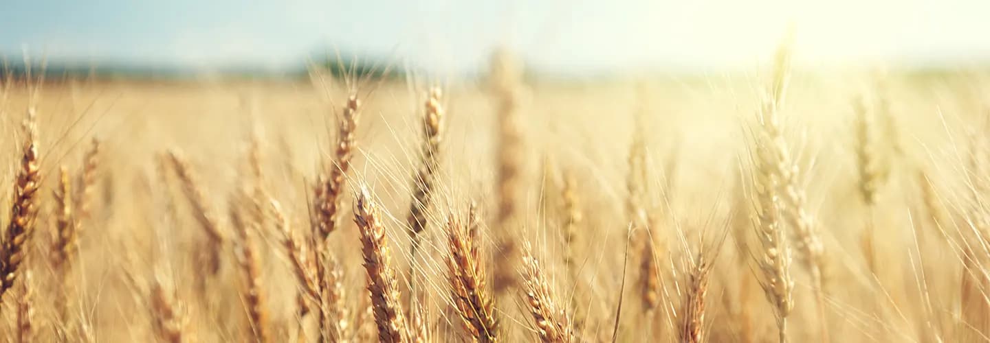 AGRA ME/Agrofarm Middle East